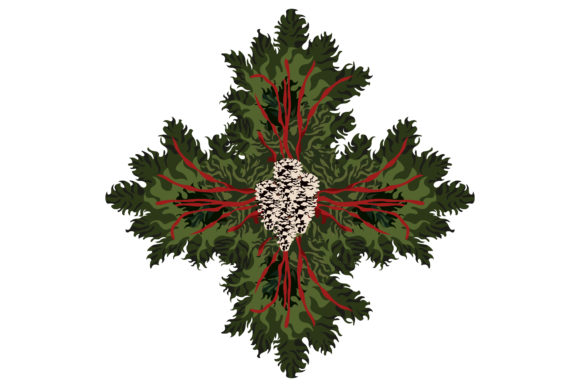 Impressive Christmas Wreath 227 Illustrations